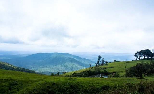 奇才教練稱庫利巴利防守水平上升 讓小波特感受到了壓力.