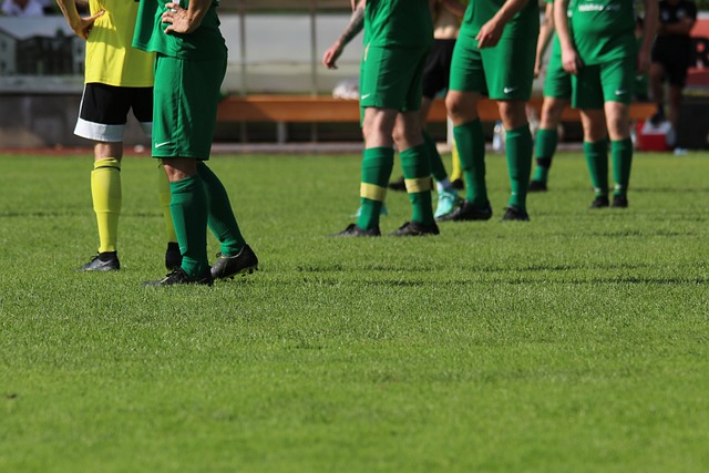 欺诈行为 欺诈行为