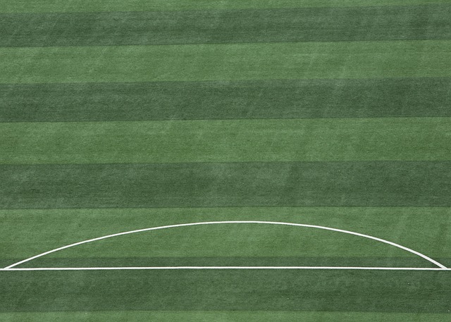 带来新能量 带来新能量