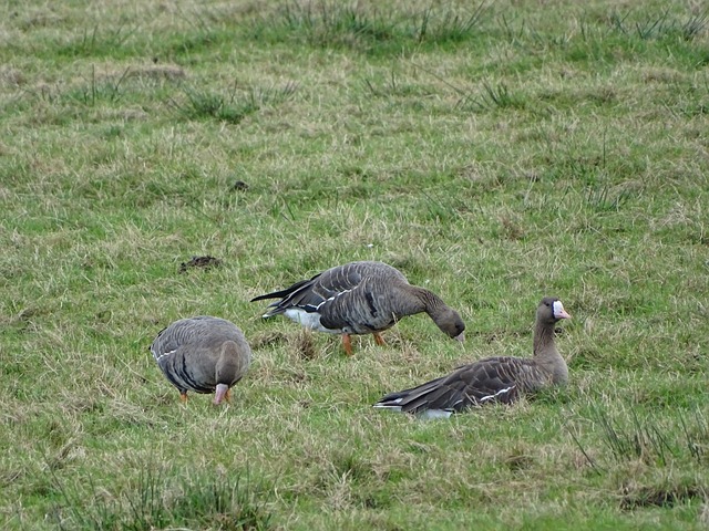 她的事迹告 她的事迹告