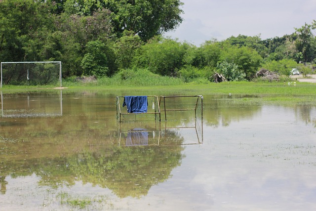 还要跨越语 还要跨越语